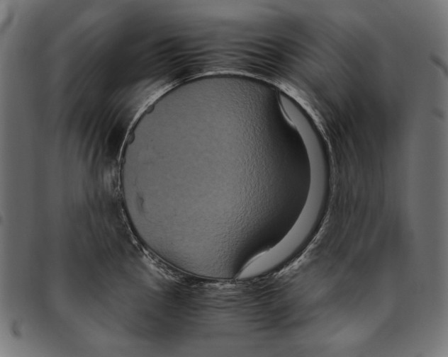 X0000094781145200712141614