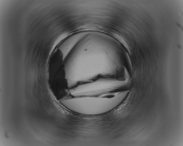 X0000094781146200712141614