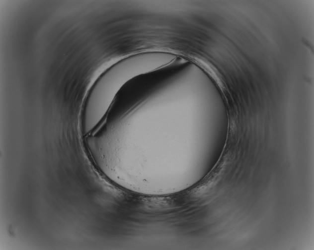 X0000094781149200712141614