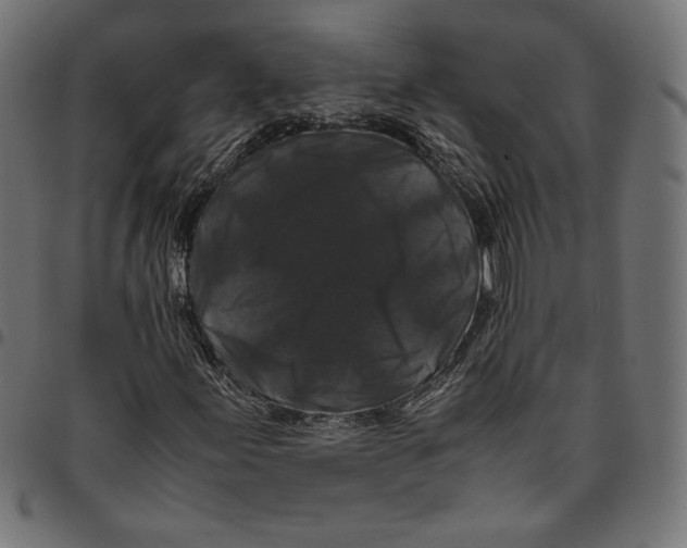 X0000094781155200712141614