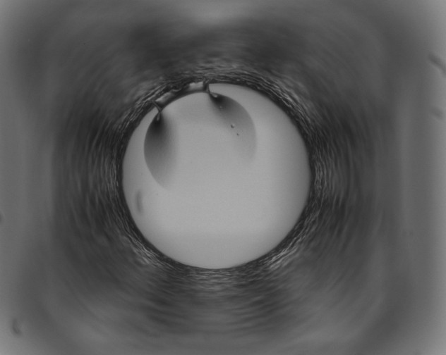 X0000094781156200712141614