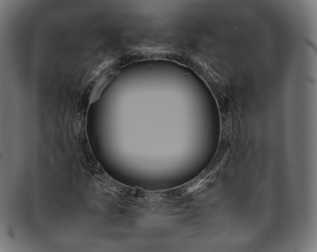 X0000094781157200712141614