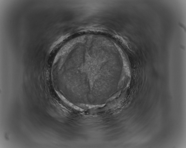 X0000094781159200712141614