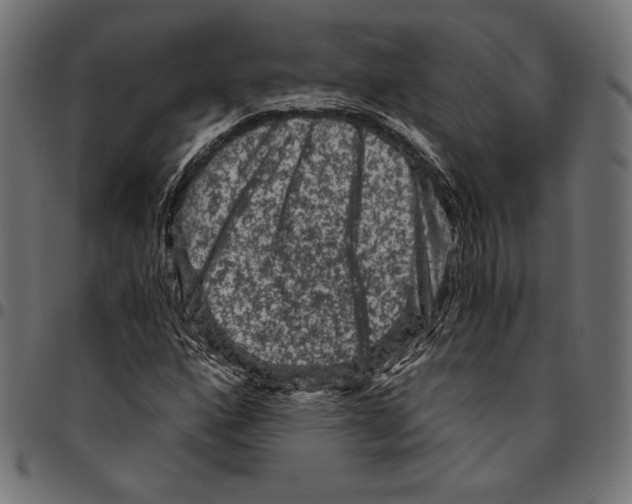 X0000094781160200712141614