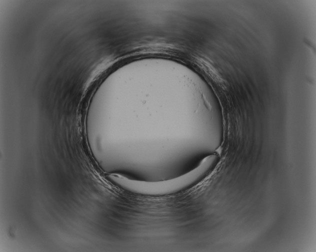 X0000094781164200712141614