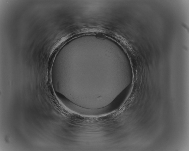 X0000094781165200712141613