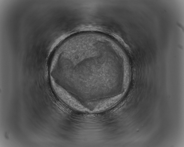 X0000094781167200712141613