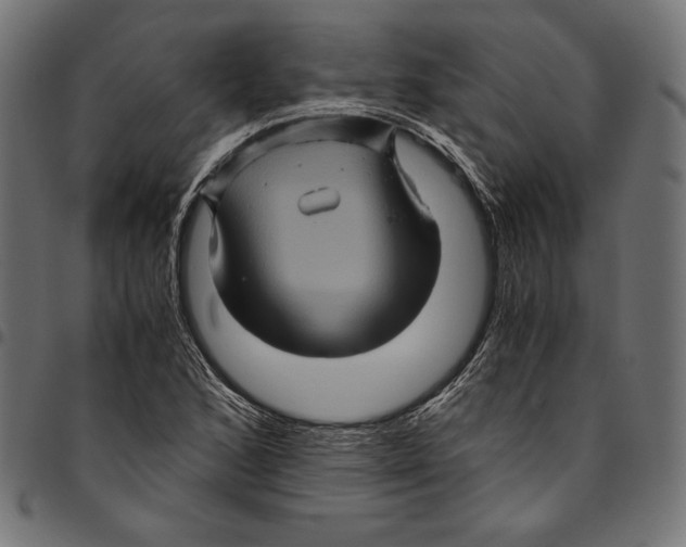 X0000094781168200712141613