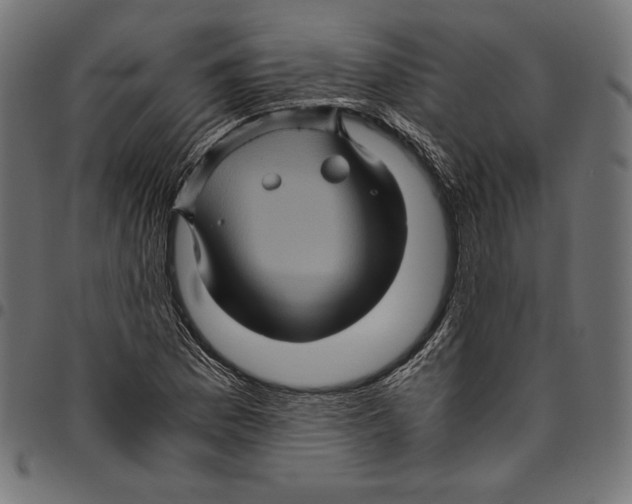 X0000094781169200712141613