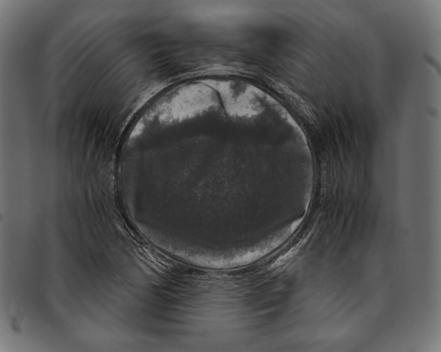 X0000094781170200712141613