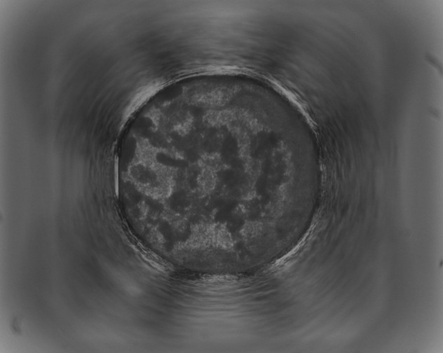 X0000094781171200712141613