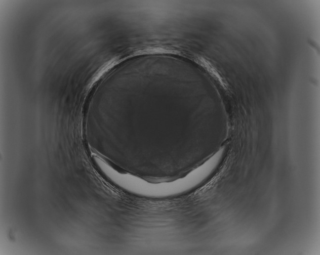 X0000094781173200712141613