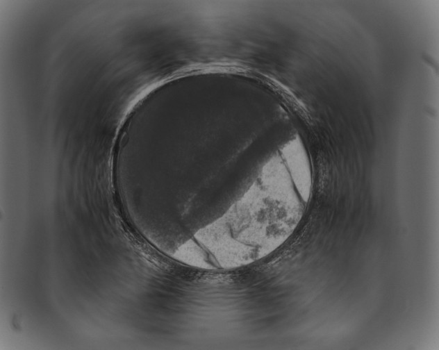 X0000094781174200712141613