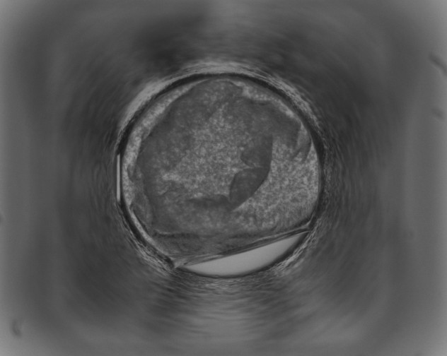 X0000094781175200712141613