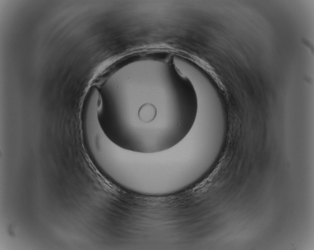 X0000094781176200712141613