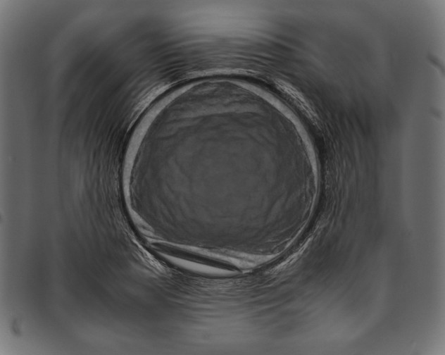 X0000094781177200712141613