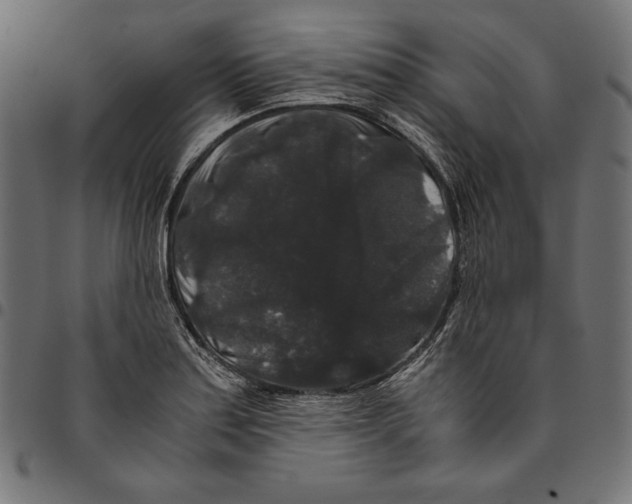 X0000094781179200712141613