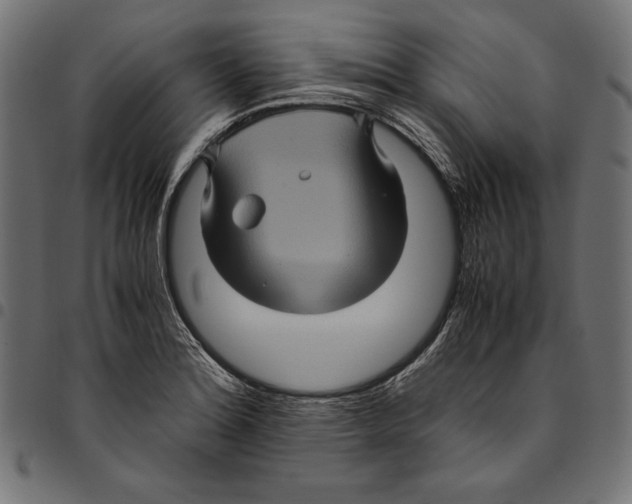 X0000094781180200712141613