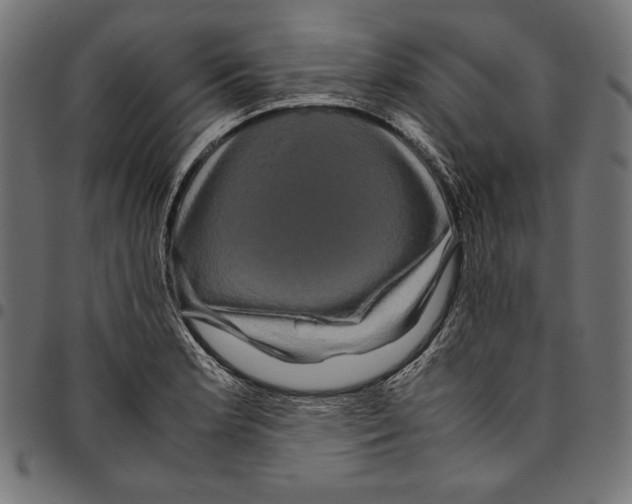 X0000094781181200712141613