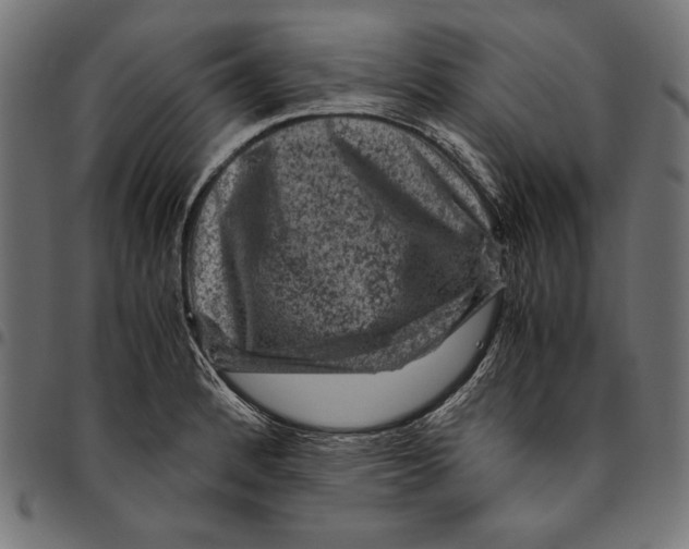 X0000094781184200712141613