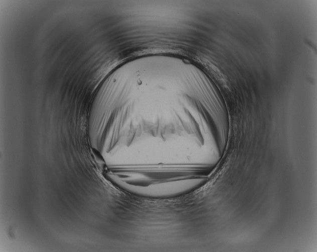 X0000094781185200712141613