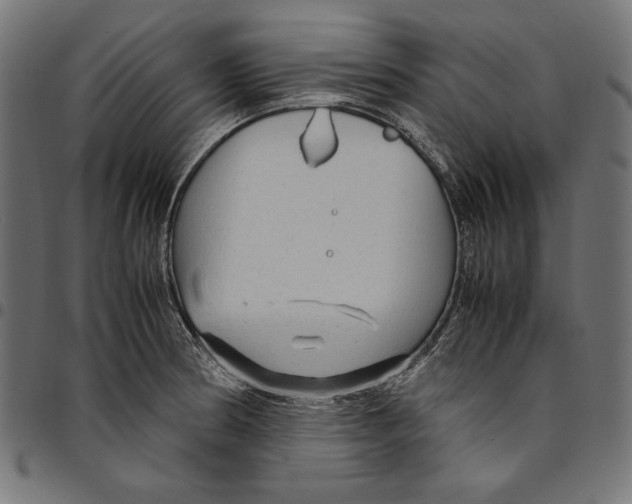 X0000094781186200712141613