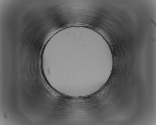 X0000094781187200712141613