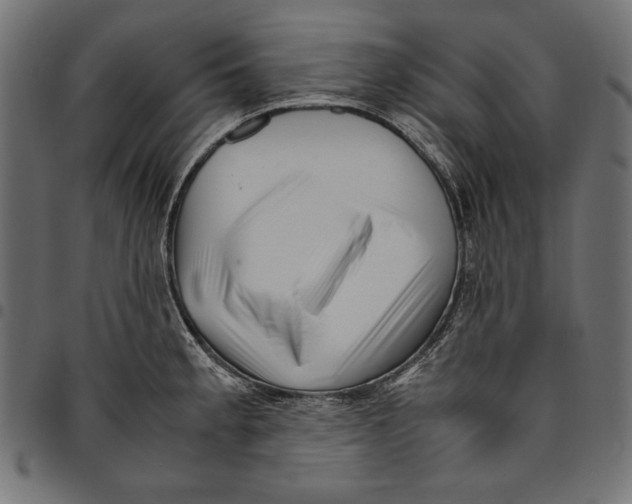 X0000094781189200712141613