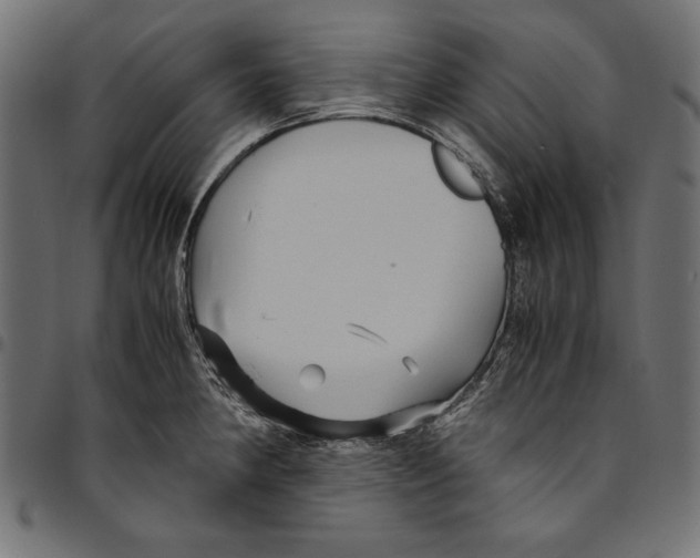 X0000094781190200712141613