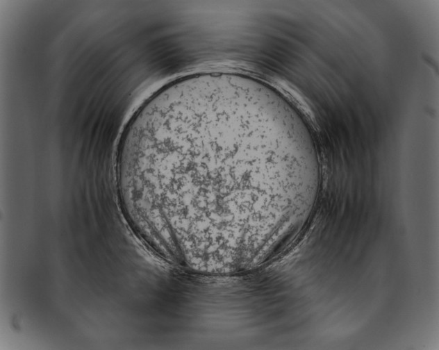 X0000094781192200712141613