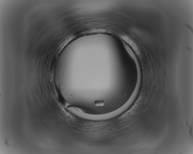 X0000094781193200712141613