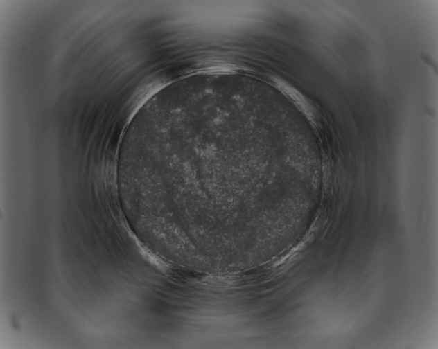 X0000094781194200712141613