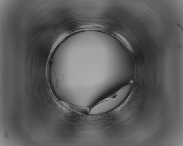 X0000094781196200712141613