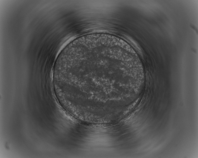 X0000094781198200712141613