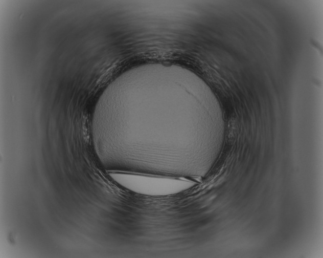 X0000094781202200712141612