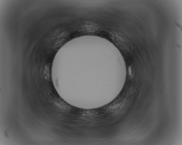 X0000094781203200712141612