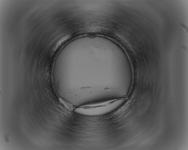 X0000094781210200712141612