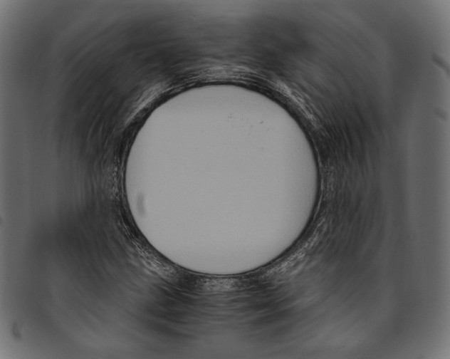 X0000094781211200712141612