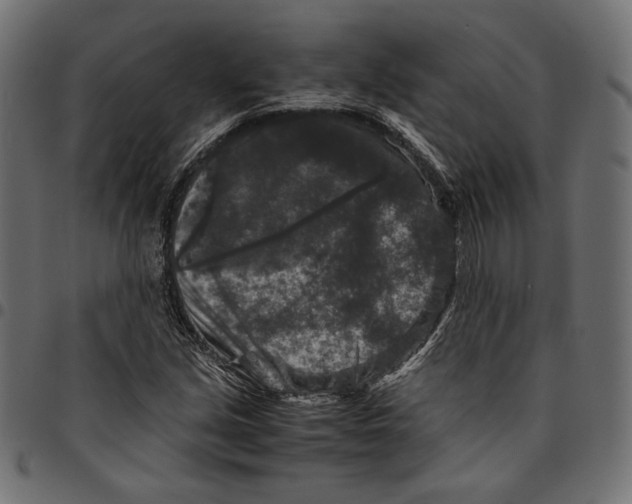 X0000094781213200712141612