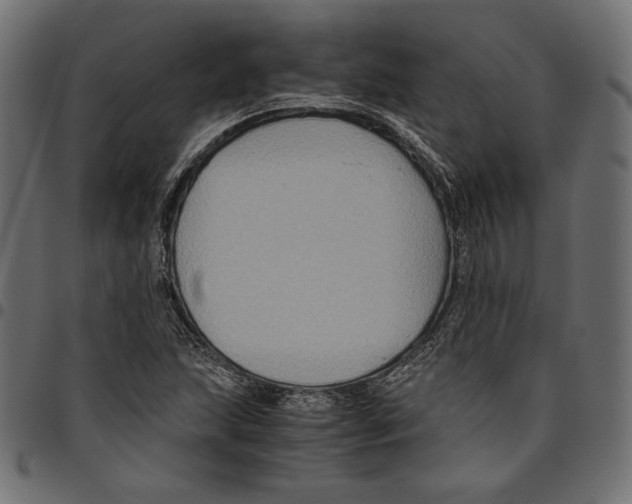 X0000094781215200712141612