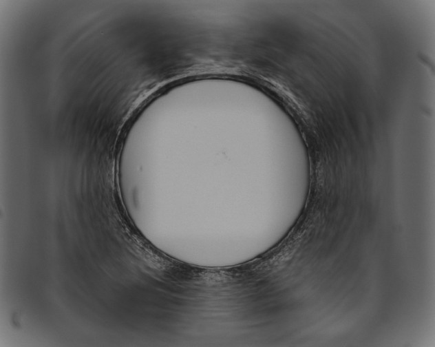 X0000094781220200712141612