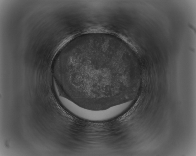 X0000094781221200712141613