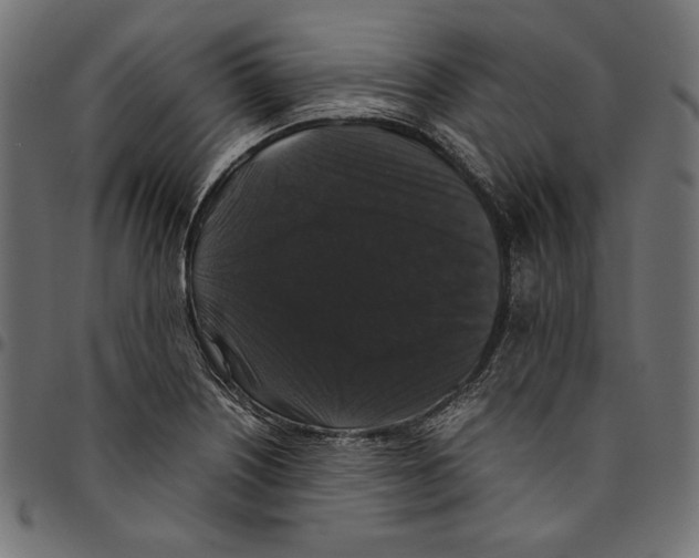 X0000094781226200712141613