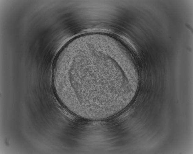 X0000094781228200712141613