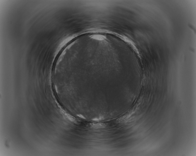 X0000094781231200712141613