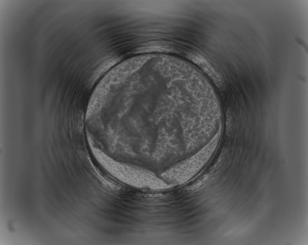 X0000094781233200712141613