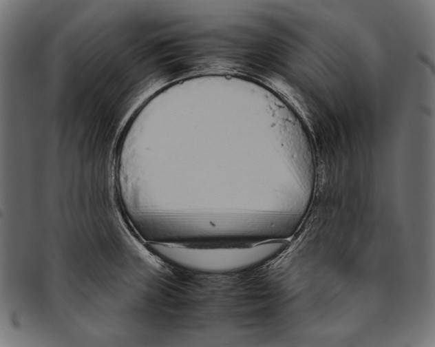 X0000094781235200712141613