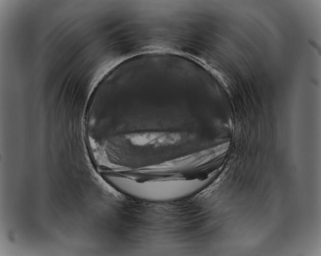 X0000094781239200712141613