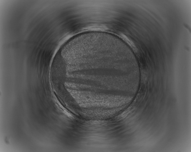 X0000094781240200712141613