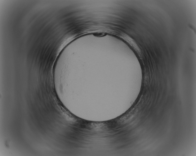 X0000094781242200712141613